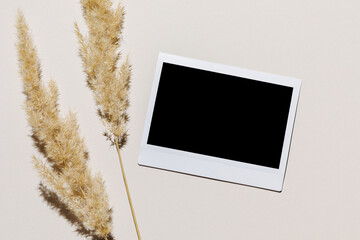 Mockup with blank photo frame and dried pampas grass over beige pastel background with trendy shadow and sunlight. Photo card with space for your logo or text. Flat lay, top view.