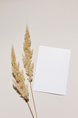 Mockup with blank paper sheet card and dried pampas grass over beige pastel background with trendy...