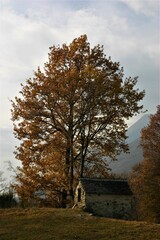 Kapelle oberhalb von Bellinzona, Tessin