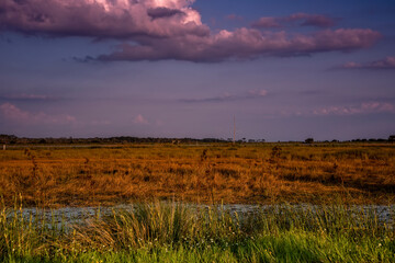 Fototapeta na wymiar Sunset on the Landscape at Saint Marks, Florida