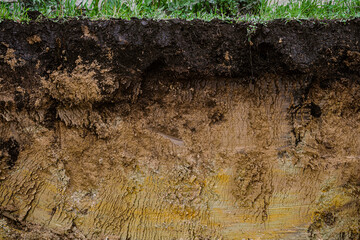 Cut of natural soil with different layaers. Grass, chernozem soil and clay ground wall after working excavator.