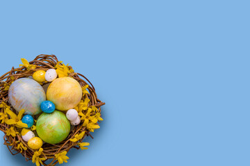 Nest with colored eggs with flowers on blue background. Copy space for your Easter text