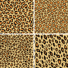 Set of leopard skin seamless pattern. Wild cat texture repeat. Abstract animal fur wallpaper. Contemporary backdrop. Concept trendy fabric textile design.