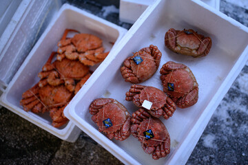北海道の魚市場の蟹