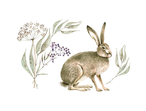 Watercolor set of cute hare with botanical elements, branches and berries. hand painted on white background