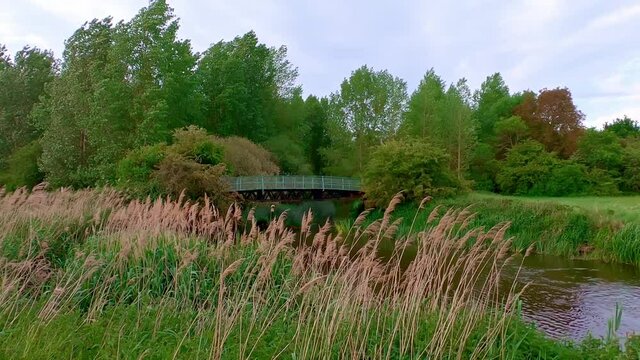 A foot bridge over a river surrounded by deciduous trees of varying colour with reeds blowing in the wind in the foreground