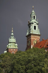 Fototapeta na wymiar Wawel castle in Krakow. Poland