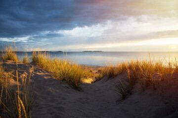 Seaside with sand dunes with grass and colorful sky at sunset.