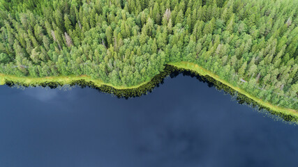 Aerial top down view of beautiful forest lake. Birds eye view of scenic blue lake surrounded by pine forests. Clouds reflecting in water. 