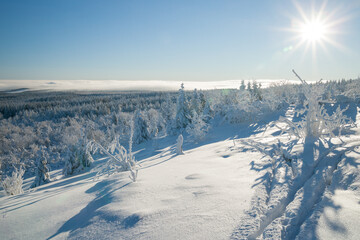 beautiful sunny winter day