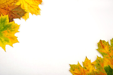 Naklejka na ściany i meble Autumn leaves on a white background as a memo on a paper