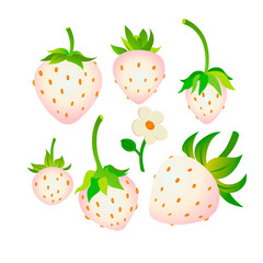 White strawberries second set