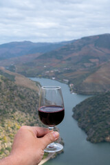 Hand with glass of fortified port wine, produced in Douro Valley and Douro river with colorful terraced vineyards on background in autumn, Portugal