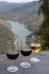 Tasting of Portuguese fortified port wine, produced in Douro Valley with Douro river and colorful terraced vineyards on background in autumn, Portugal