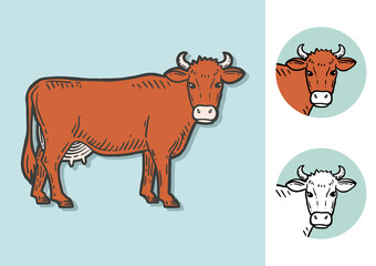 Set of cows. Farm animal. Hand drawn sketch. Vintage style. Color vector illustration.