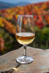 Tasting of Portuguese fortified port wine, produced in Douro Valley with colorful terraced vineyards on background in autumn, Portugal