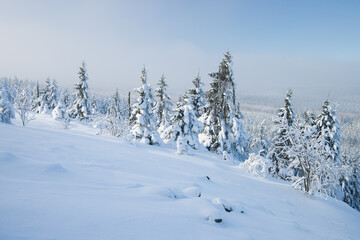 beautiful sunny winter day