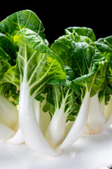 Young white bok choy or bak choi Chinese cabbage