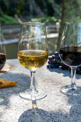 Tasting of Portuguese fortified port wine, produced in Douro Valley in autumn, Portugal