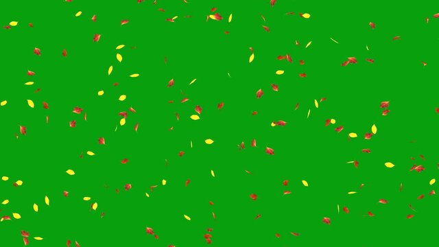 Falling Leaves Green Screen Motion Graphics