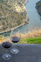 Tasting of Portuguese red dry wine, produced in Douro Valley and Douro river and terraced vineyards on background in autumn, Portugal