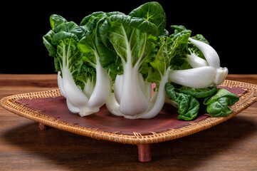 Young white bok choy or bak choi Chinese cabbage - obrazy, fototapety, plakaty