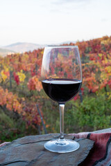Glass of Portuguese red dry wine, produced in Douro Valley and old terraced vineyards on background in autumn, wine region of Portugal