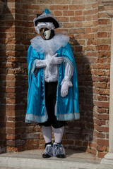 Fototapeta na wymiar city carnival masked gentleman