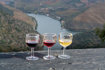 Tasting of Portuguese fortified port wine, produced in Douro Valley with Douro river and colorful terraced vineyards on background in autumn, Portugal