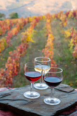 Tasting of Portuguese fortified port wines  produced in Douro Valley with colorful terraced vineyards on background in autumn, Portugal