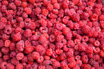 Raspberry background. Organic berries harvest. Fresh raspberries from village garden. Berry for desserts, cakes, smoothie or jam.