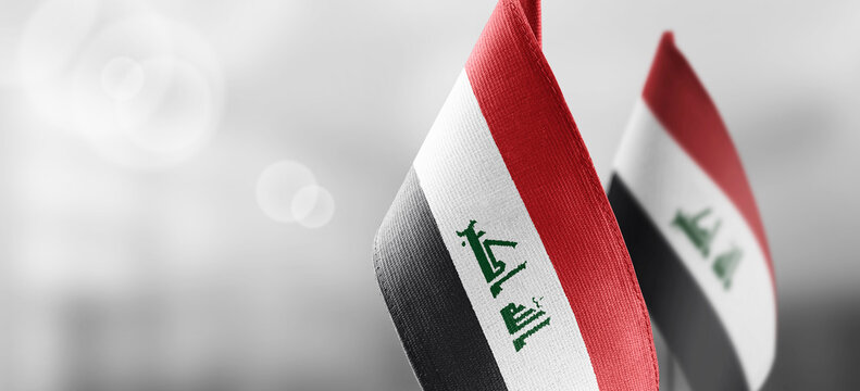 Small national flags of the Iraq on a light blurry background