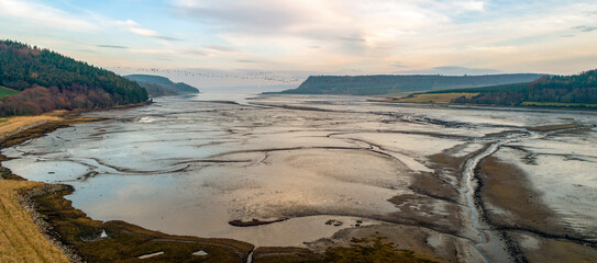 Munlochy Estuary mud at low tide near the Moray Firth, Scotland