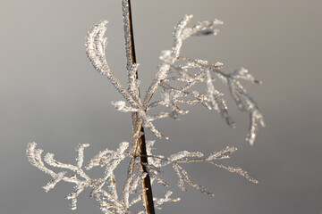 givre 