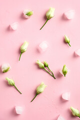 Flowers and ice cubes on pink background top view. Minimal flat lay style composition.
