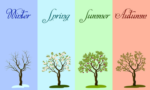 3 893 Best Drawings Of Four Seasons Images Stock Photos Vectors Adobe Stock