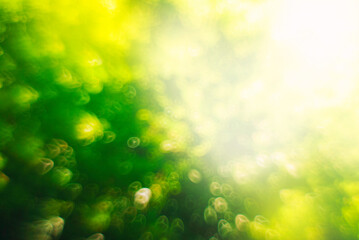 Abstract blurred summer spring background