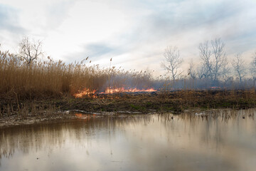 Burning reeds at river. Nature fire landscape. Devastation of wildlife, human influence on planet. Air pollution, hot and dry climate, environment, Earth saving concept