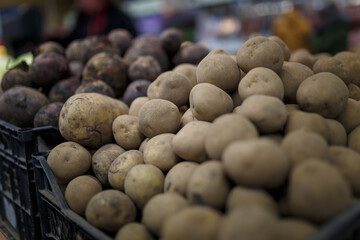 Soft focused shot of vegetable department in grocery store, supermarket, mall, hypermarket or shopping center. Boxes with beetroot and potatoes, unrecognizable people on background. Vegetarian food.