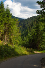 Fototapeta na wymiar Asphalt road in the Carpathian mountains in summer.