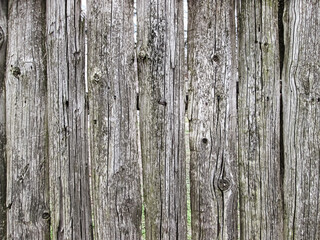 Abandoned old fence without paint. Abandoned wooden pavement texture.