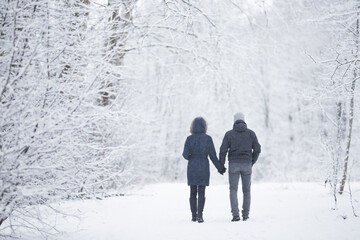 Young adult couple holding each other hands and walking on snowy trail at natural tree park in...