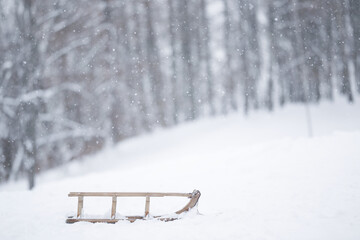 Old wooden sledge on white fresh snow at hill tree park in winter snowy day. Closeup.