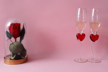Two glasses of champagne and red rose under the glass on pink background. Valentine's day.
