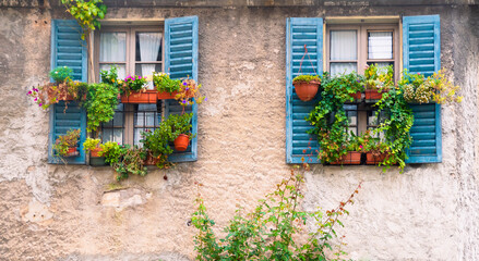 Vintage, traditional italian house wall with old blue window shutters and many plant pots. Typical...