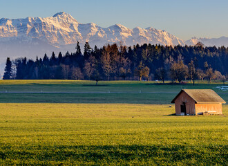 landscape in the morning