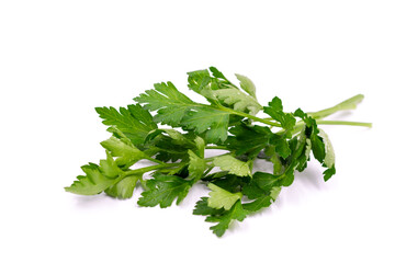 A bunch of parsley on a white background.