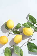 Ripe fresh Sicilian lemons with green leaves on white background with copy space for grafic design. Organic citrus fruits with bright sunlight. Healthy food concept