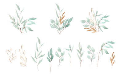 eucalyptus set. Watercolor hand painted bouquets and branches isolated on white background. Suitable for the design of invitations, greeting cards, social media posts.