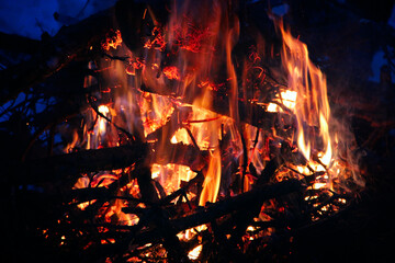 Fototapeta premium Night bonfire. Firewood burning in fire. Bonfire from tree branches at night